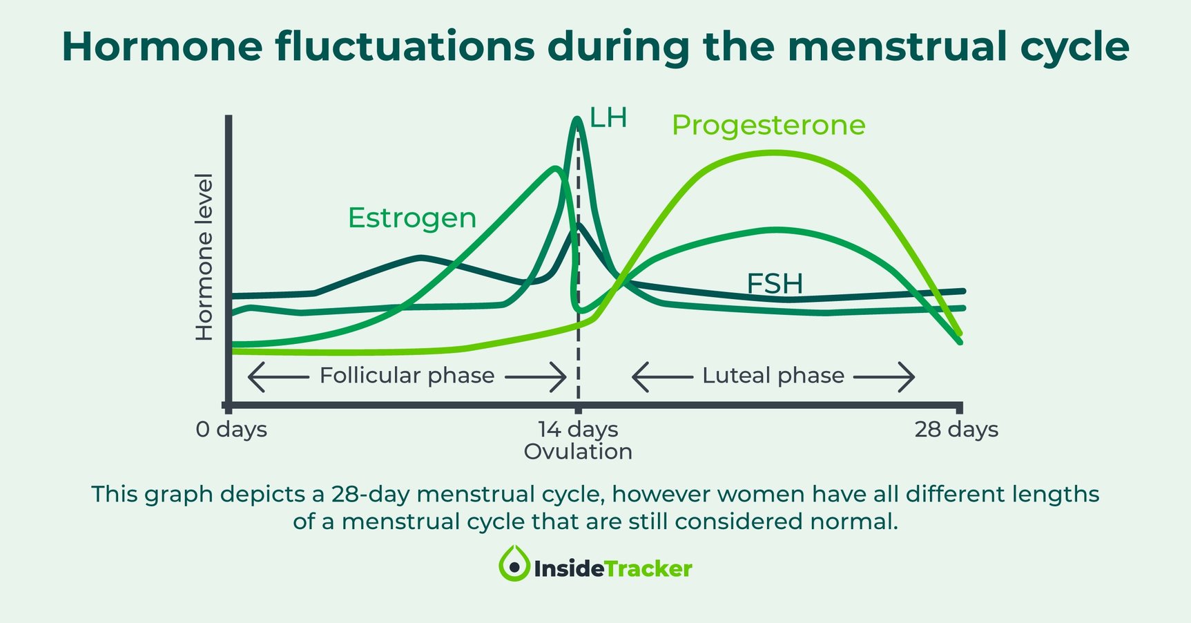 Dr. Jennifer Garrison—Women's Health and Longevity Part 2